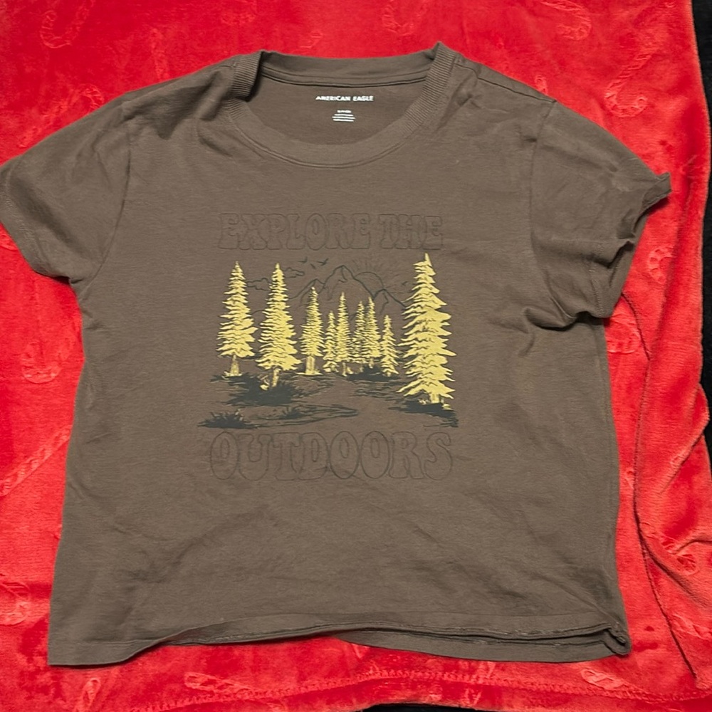 Brown American Eagle cropped tee - Picture 1 of 1